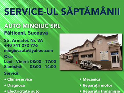 Service-urile lunii
