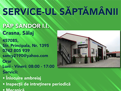 Service-urile lunii