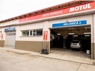 AUTO MINGIUC SRL